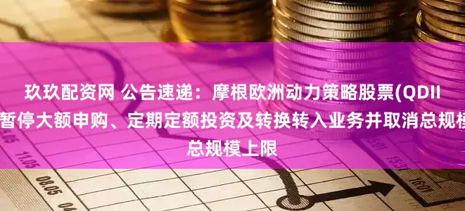 玖玖配资网 公告速递：摩根欧洲动力策略股票(QDII)基金暂停大额申购、定期定额投资及转换转入业务并取消总规模上限
